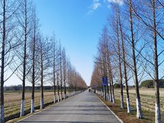 -嘉北郊野公园