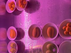 -额尔敦·品质自助(摩尔城店)