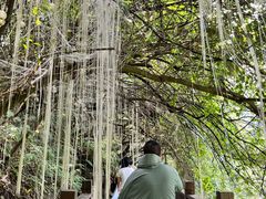 -天河潭旅游度假区