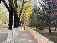 -哈尔滨师范大学(松北校区)