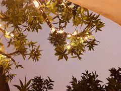 -风与炭BBQ户外火锅烧烤(成都群光君悦酒店)