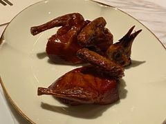 脆皮妙龄鸽-新荣记(新源南路店)
