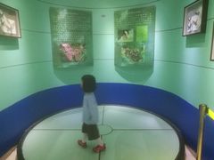 -上海昆虫博物馆