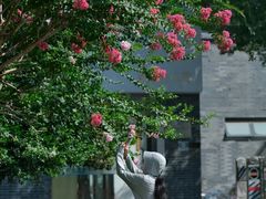 -杭州城北体育公园