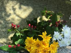 -鯛匠 HANANA