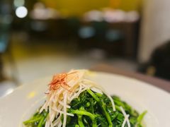 火丝银芽豆苗-江南雅厨(李公堤店)
