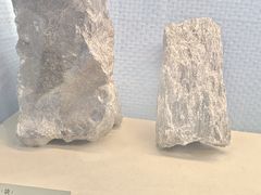 -河南自然博物馆
