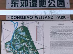 -东郊湿地公园