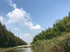 -黄海国家森林公园