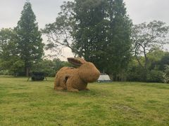 -嘉北郊野公园