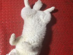 -万达广场(南京江宁店)