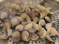 沙白-湛香海鲜城(三乡店)