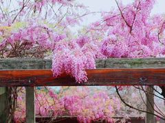 -缥缈峰景区