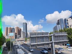 -华中科技大学同济医学院附属同济医院(汉口院区)