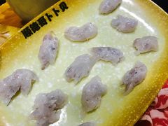 -顺德哥卜卜贝(旗舰店)