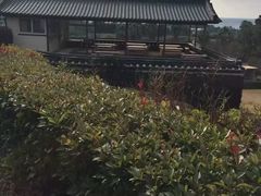 -涉地可支