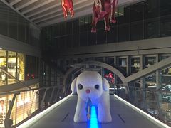 -半山腰·云南菜(侨福芳草地店)