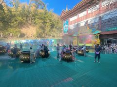 -西双版纳原始森林公园