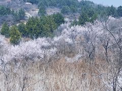 -白水寺森林公园