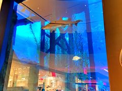 -迪拜水族馆及水下动物园