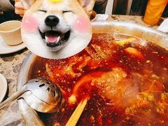 鱼火锅-肖肖酸萝卜鱼火锅(总店)