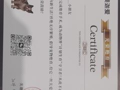 -美迦爱-牙专科·兔科·骨科诊疗中心(北苑店)