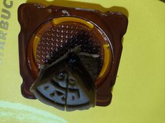 -星巴克(北京广渠门名敦道店)