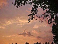 -西湖游船