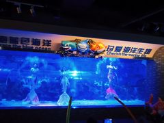 -成都浩海立方海洋公园