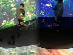 -中国湿地博物馆