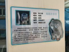 -青藏高原野生动物园