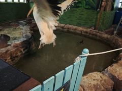 -海合安武汉极地海洋公园