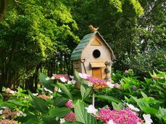 -上海共青森林公园