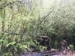 -卡定沟景区