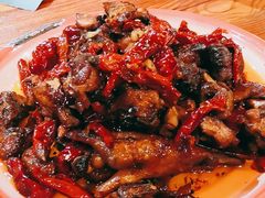 -柴窝堡22号辣子鸡·传承新疆菜