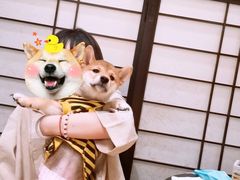 -逗柴咖啡屋·狗咖猫咖宠物桌游