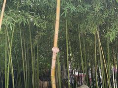 -个园