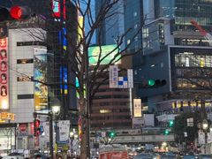 -涩谷全向十字路口