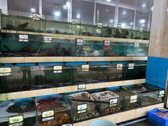 水产区-秋姐美食店(旅游大道店)