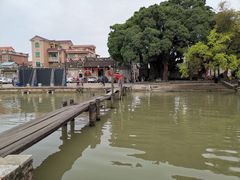 -烟桥私房菜馆(奋哥)