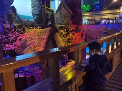 -华夏文旅海洋公园