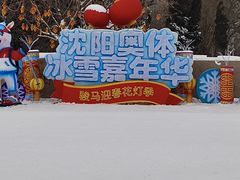 -沈阳奥体冰雪嘉年华