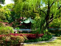 -申粤轩酒楼·三十年粤菜经典(丁香花园店)