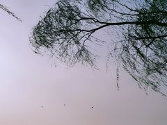 -什刹海