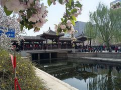 -元大都城垣遗址公园