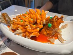 -米桃-吴韵风雅·拙园(北外滩来福士店)