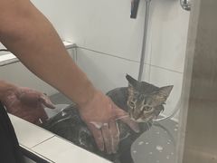 -comecome来吧宠物(奥克斯中心店)