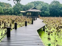 -兰亭风景区