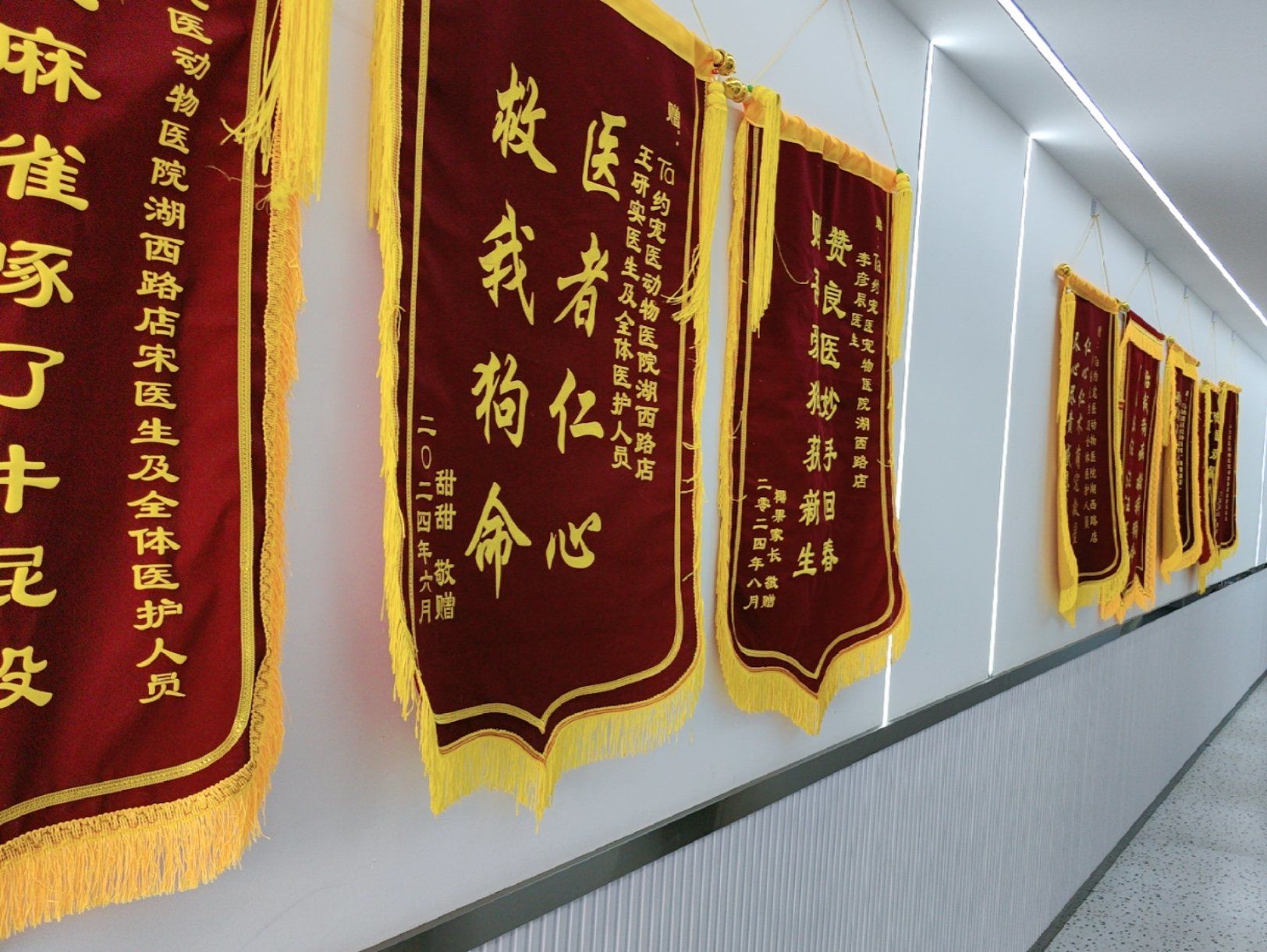 包含北京中醫醫院陪診代掛號就醫隱私嚴格保護，放心就診的詞條