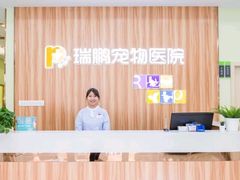 -瑞鹏宠物医院·宠保定点·心脏科·内科(御桥分院)